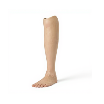Below  Knee Prosthesis