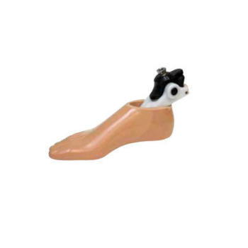 Multi-axis prosthetic foot